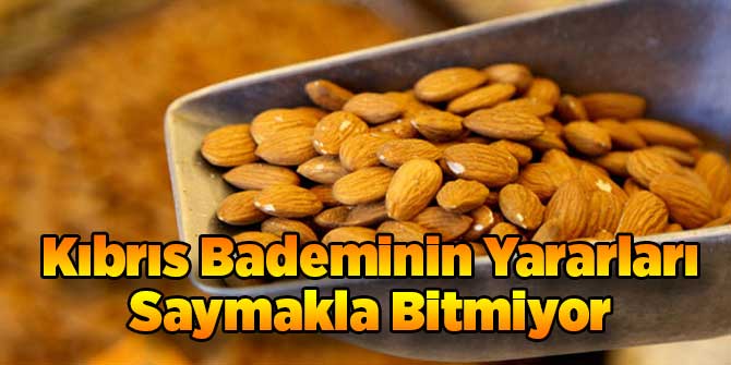 Kıbrıs Bademinin Yararları Saymakla Bitmiyor