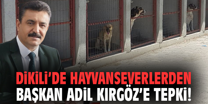 Dikili’de hayvanseverlerden Başkan Adil Kırgöz’e tepki!