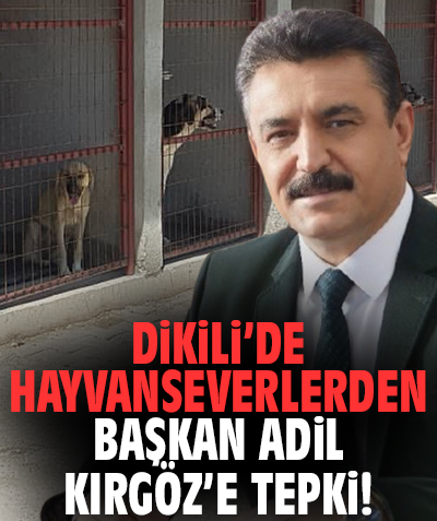 Dikili’de hayvanseverlerden Başkan Adil Kırgöz’e tepki!