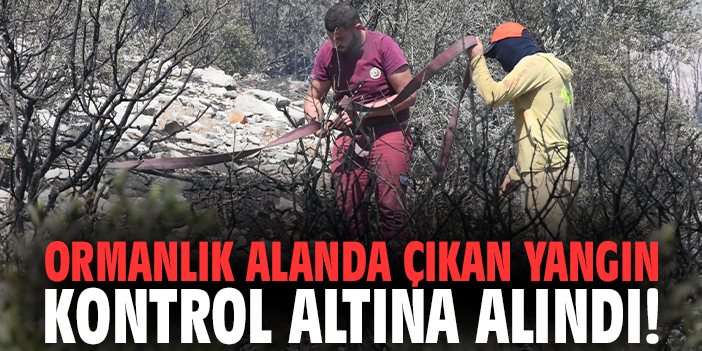 Ormanlık alanda çıkan yangın kontrol altına alındı!