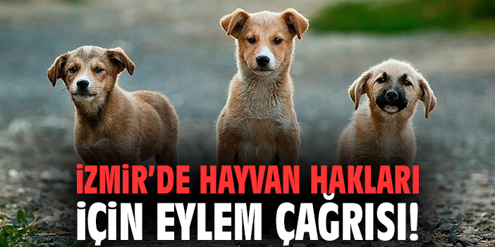 İzmir’de hayvan hakları için eylem çağrısı!