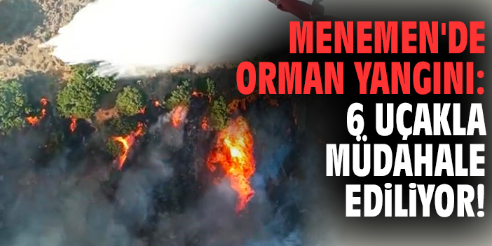 Menemen'de orman yangını: 6 uçakla müdahale ediliyor!