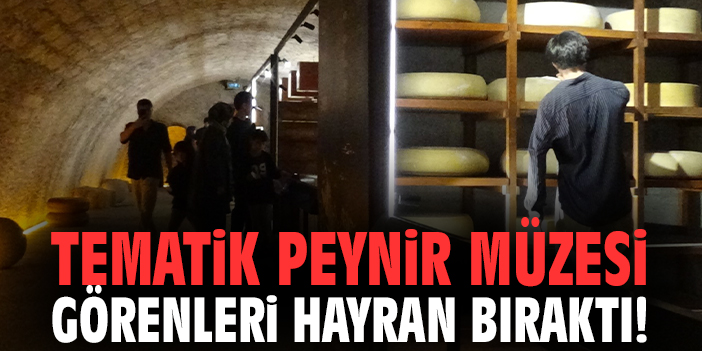 Tematik Penir Müzesi görenleri hayran bıraktı!