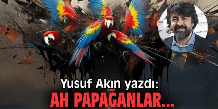 Ah papağanlar...