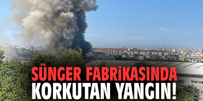 Sünger fabrikasında korkutan yangın!