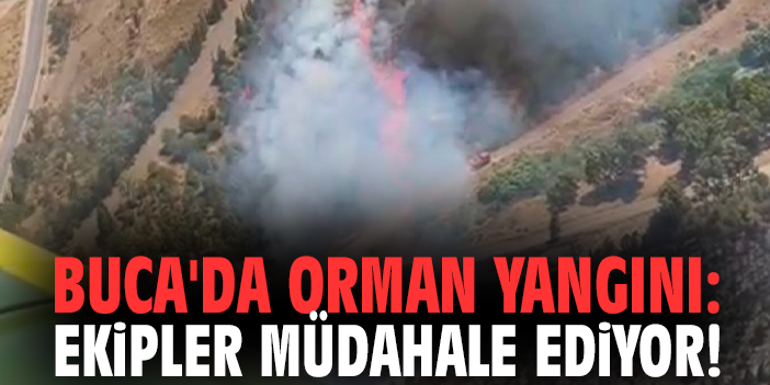 Buca'da orman yangını: Ekipler müdahale ediyor!