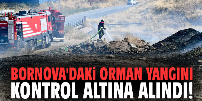 Bornova'daki orman yangını kontrol altına alındı!