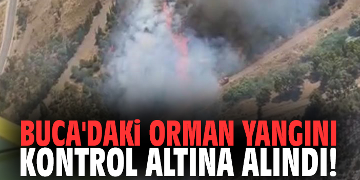 Buca'daki orman yangını kontrol altına alındı!
