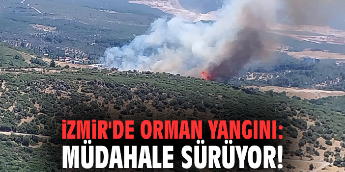 İzmir'de orman yangını: Müdahale sürüyor!