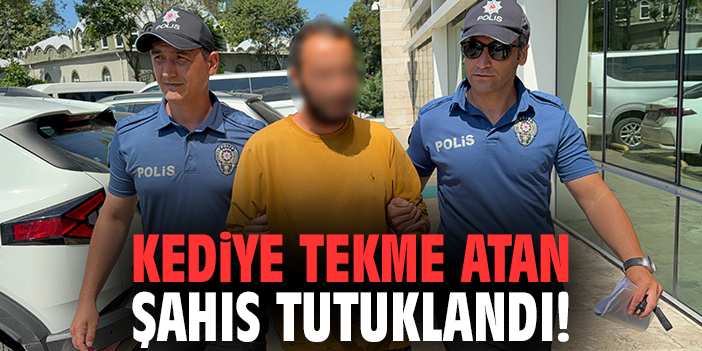 Kediye tekme atan şahıs tutuklandı!