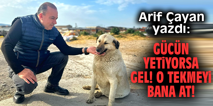 Gücün Yetiyorsa Gel! O Tekmeyi Bana At!