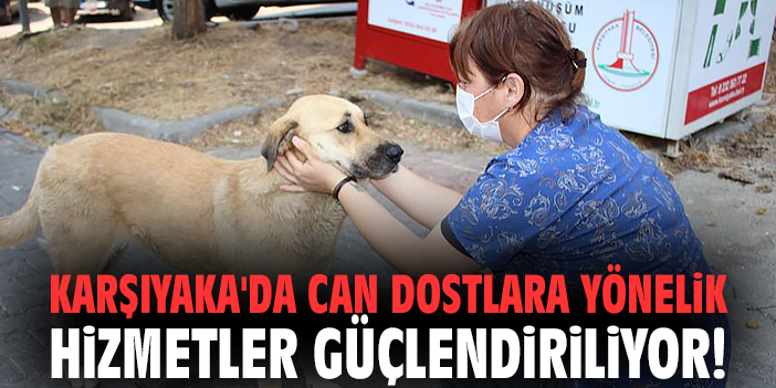 Karşıyaka'da can dostlara yönelik hizmetler güçlendiriliyor!