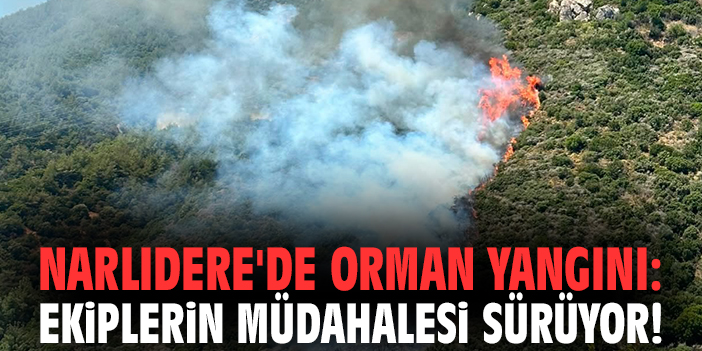 Narlıdere'de orman yangını: Ekiplerin müdahalesi sürüyor!
