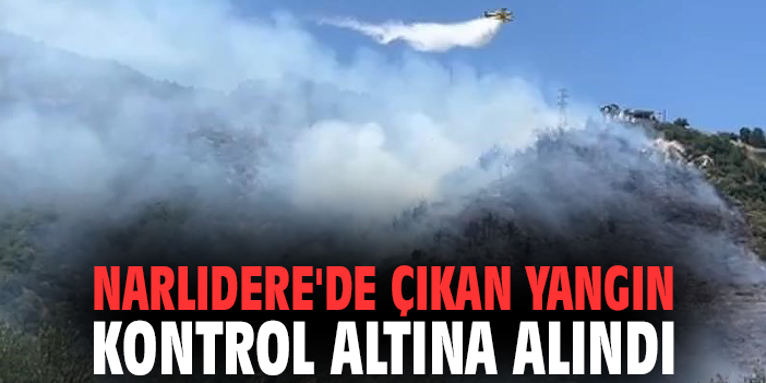 Narlıdere'de çıkan yangın kontrol altına alındı