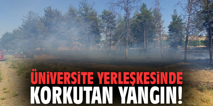 Üniversite yerleşkesinde korkutan yangın!