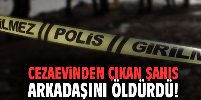 Cezaevinden çıkan şahıs arkadaşını öldürdü!