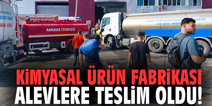 Kimyasal ürün fabrikası alevlere teslim oldu!