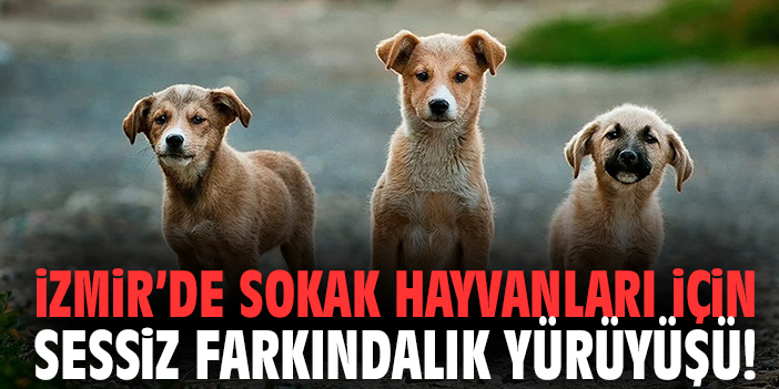 İzmir’de sokak hayvanları için sessiz farkındalık yürüyüşü!
