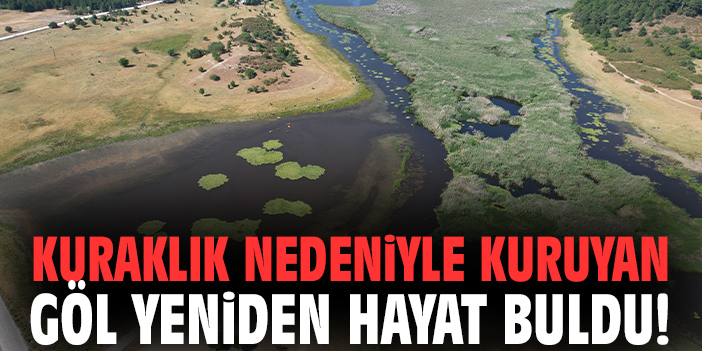 Kuraklık nedeniyle kuruyan göl yeniden hayat buldu!