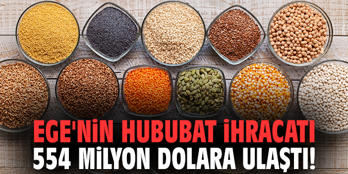 Ege'nin hububat ihracatı 554 milyon dolara ulaştı!