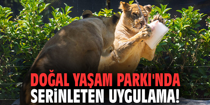 Doğal Yaşam Parkı'nda serinleten uygulama!