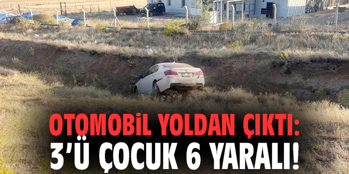 Otomobil yoldan çıktı: 3'ü çocuk 6 yaralı!