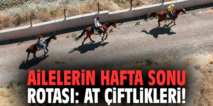 Ailelerin hafta sonu rotası: At çiftlikleri!