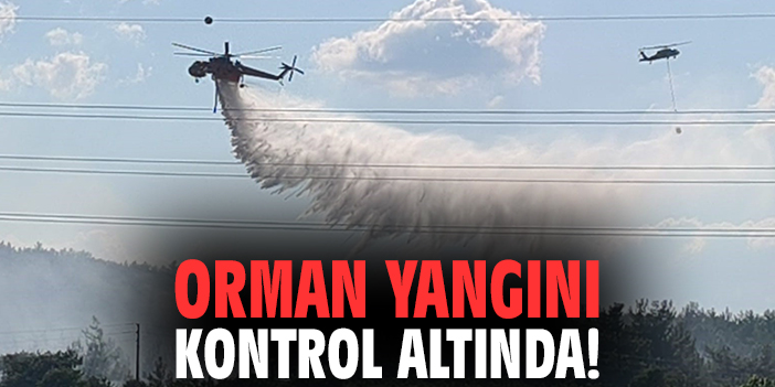 Orman yangını kontrol altında!