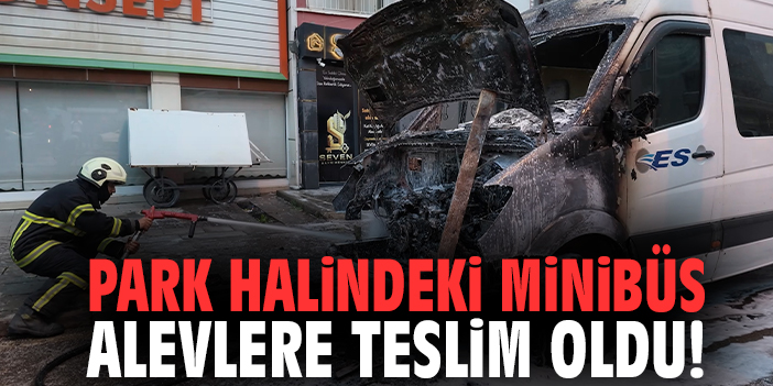 Park halindeki minibüs alevlere teslim oldu!