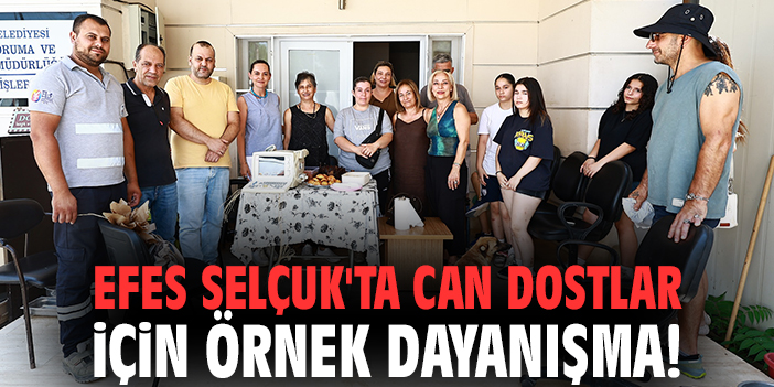 Efes Selçuk'ta can dostlar için örnek dayanışma!