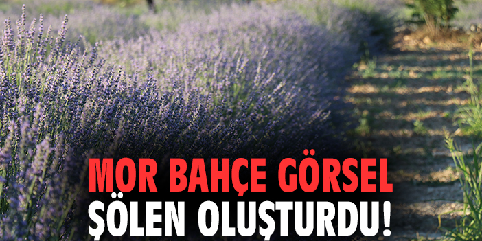 Mor bahçe görsel şölen oluşturdu!