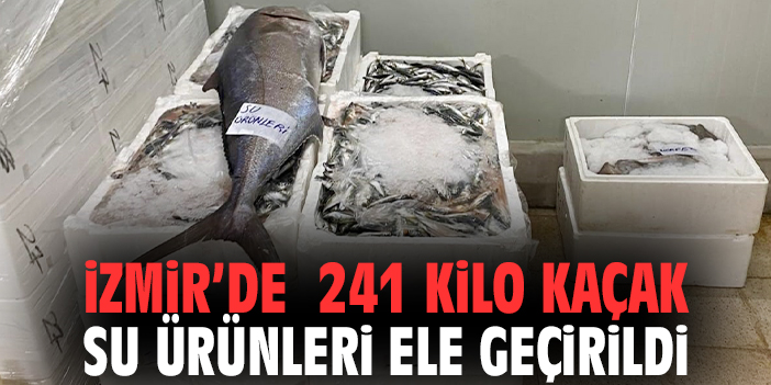 İzmir’de 241 kilo kaçak su ürünleri ele geçirildi