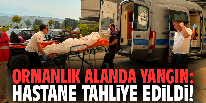Ormanlık alanda yangın: Hastane tahliye edildi!