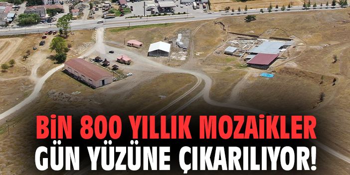Bin 800 yıllık mozaikler gün yüzüne çıkarılıyor!