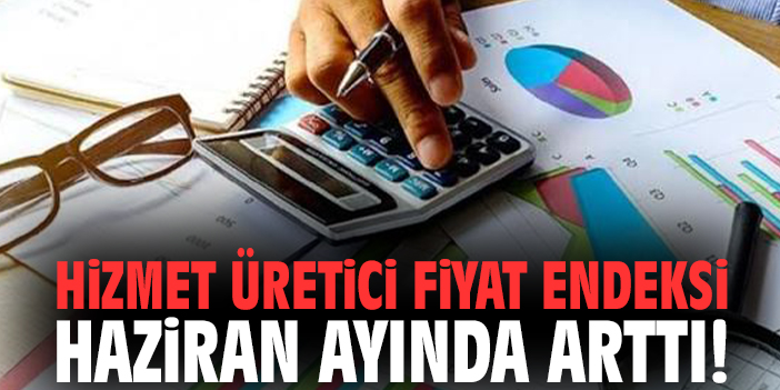 Hizmet üretici fiyat endeksi Haziran ayında arttı!
