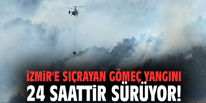 İzmir'e sıçrayan Gömeç yangını 24 saattir sürüyor!