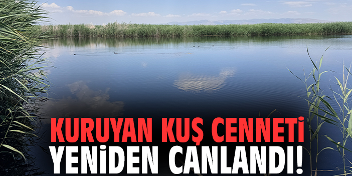 Kuruyan kuş cenneti yeniden hayat buldu!