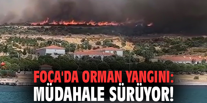 Foça'da orman yangını: Müdahale sürüyor!