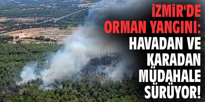 İzmir'de orman yangını: Havadan ve karadan müdahale sürüyor!