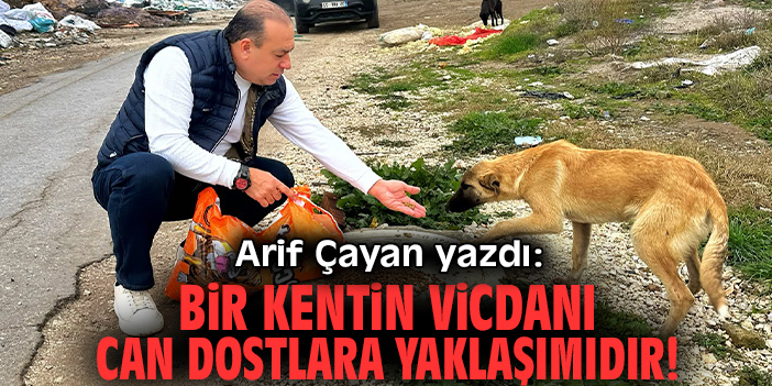 Bir kentin vicdanı can dostlara yaklaşımıdır!