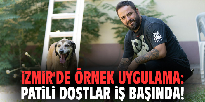 İzmir'de örnek uygulama: Patili Dostlar İş Başında!