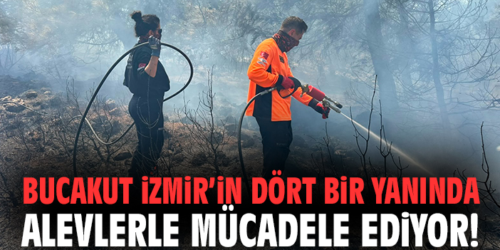 BUCAKUT İzmir’in dört bir yanında alevlerle mücadele ediyor!