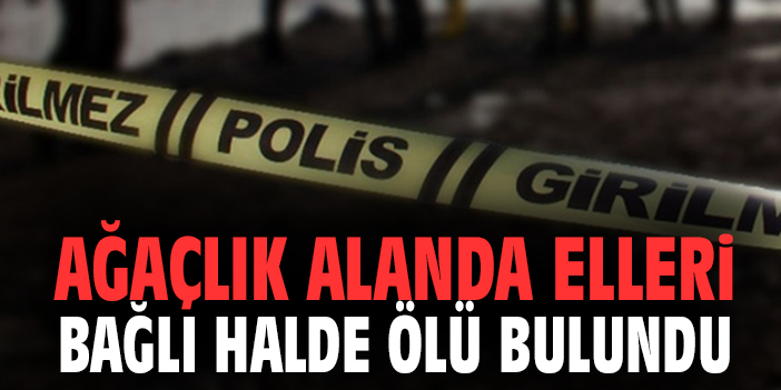 Ağaçlık alanda elleri bağlı halde ölü bulundu