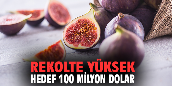 Rekolte yüksek, hedef 100 milyon dolar