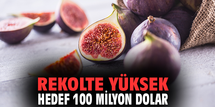 Rekolte yüksek, hedef 100 milyon dolar