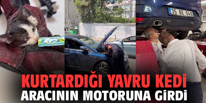 Kurtardığı kedi aracının motoruna girdi