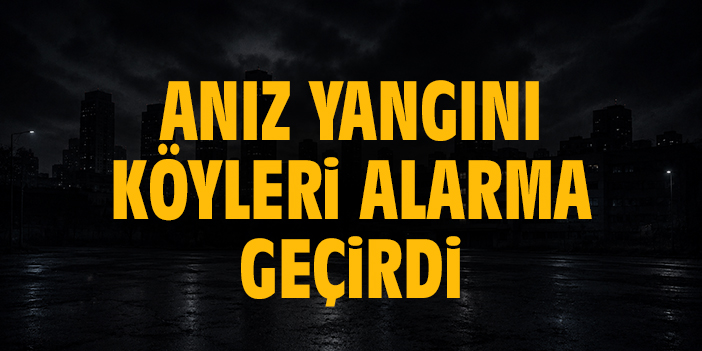 Anız yangını köyleri alarma geçirdi