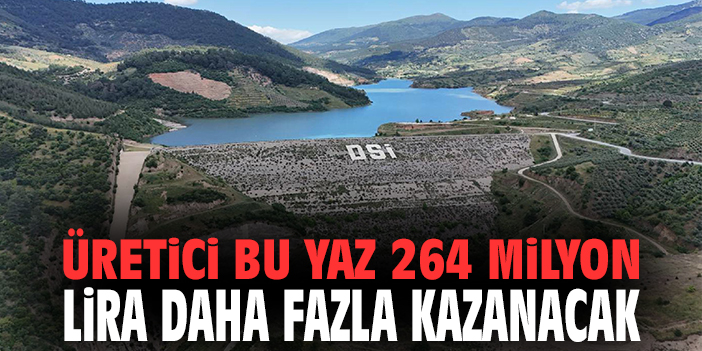 Üretici bu yaz 264 milyon lira daha fazla kazanacak
