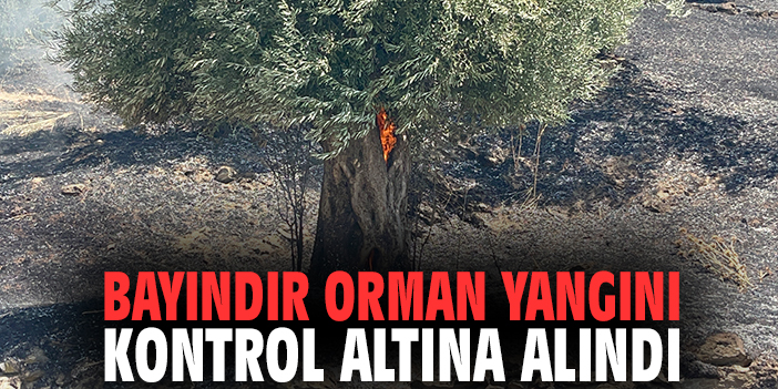 Bayındır'daki orman yangını kontrol altına alındı