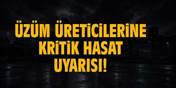 Üzüm üreticilerine kritik hasat uyarısı!